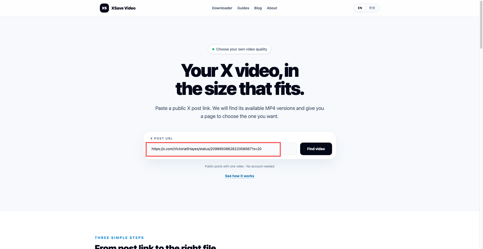 XSave home page with an X post URL pasted into the highlighted input field